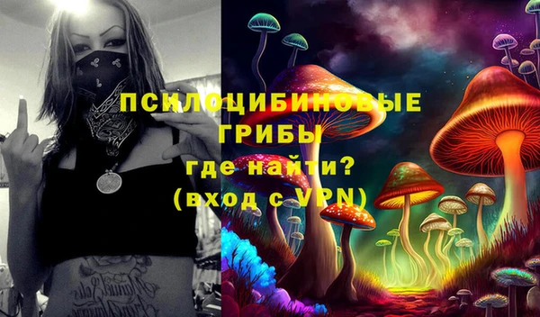 экстази Арсеньев
