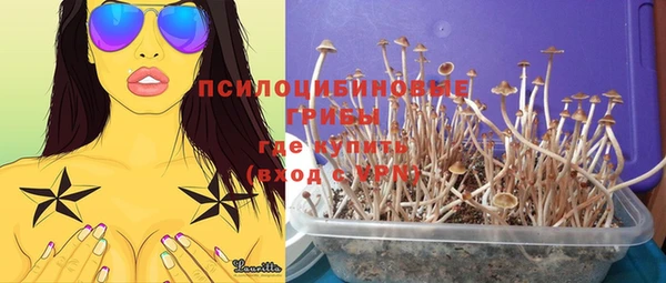 метадон Аркадак